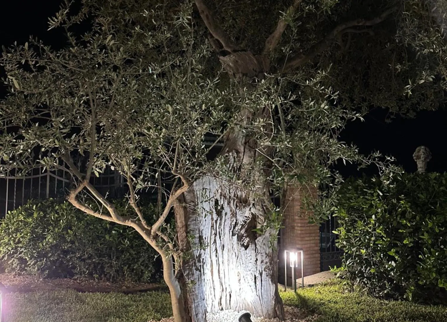 Villa La Dimora Degli Ulivi SantʼAlfio Сasa de vacaciones